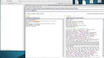 Burp bug with cursor