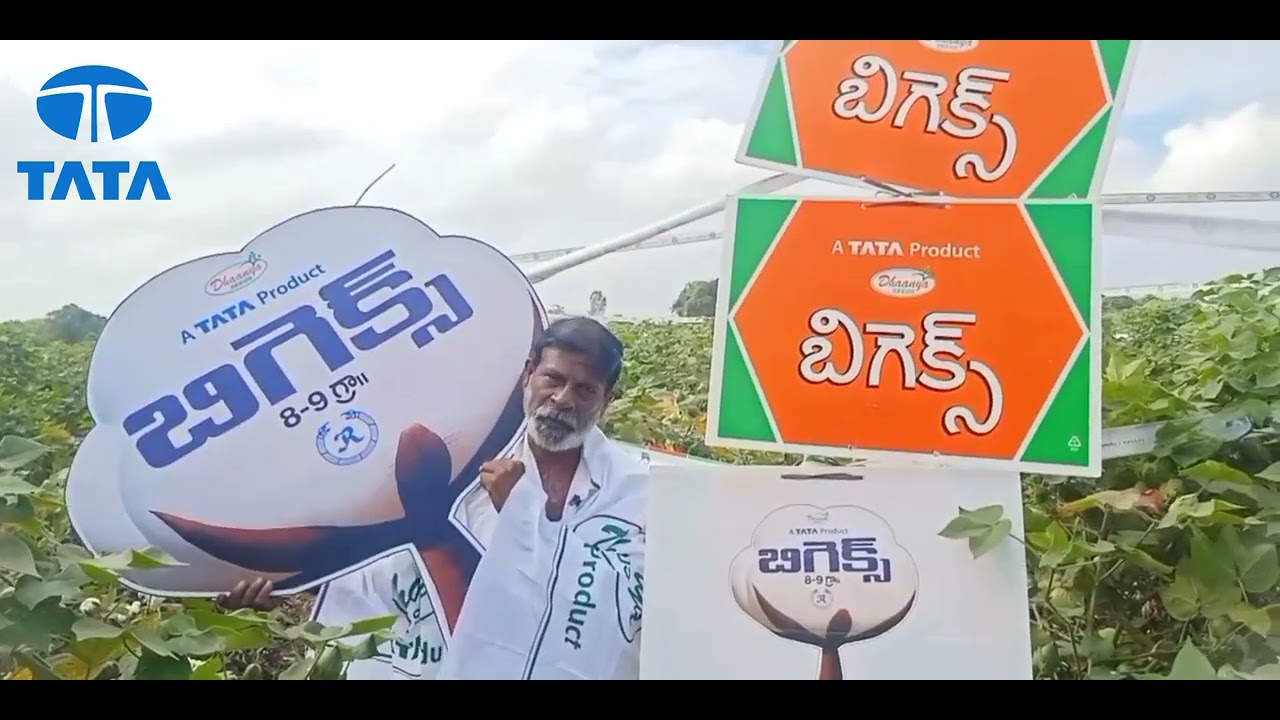 Bigex cotton-TATA PRODUCT