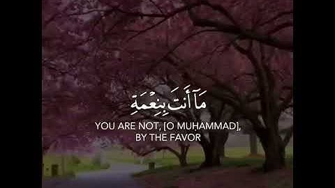 قرآن كريم بصوت القارئ سالم الرويلي تلاوة هادئ حالات واتس اب   Quran ststus  Quran Kareem480P