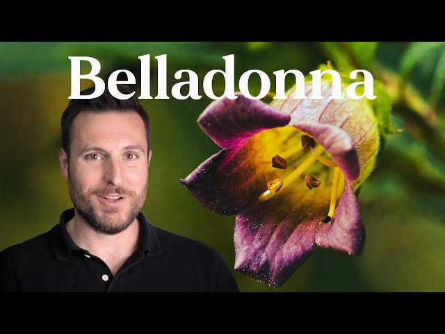 Belladonna - Out Of Gas