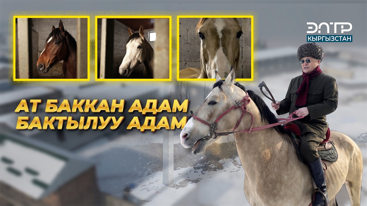 АТ СЫНЧЫСЫ КЕМЕЛ АШЫРАЛИЕВ