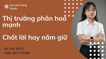 Thị trường phân hoá mạnh - Chốt lời hay nắm giữ? - Nhận định thị trường 14/11/2025