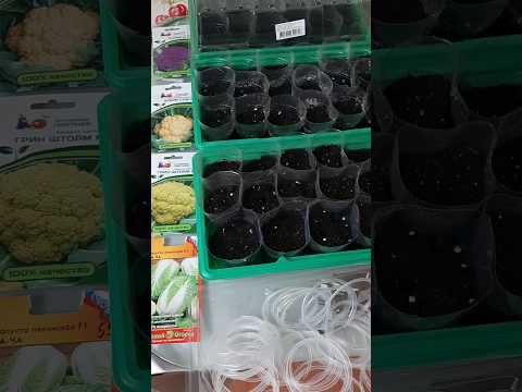 Пекинская и цветная