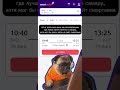 POV: ищешь дешевые авиабилеты Smartavia