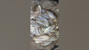spacial fish curry 🐟#shortvideo #recipe