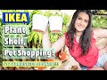 IKEA $12 Variegated Cacti! Big Box Plant Shopping, Shelf, Pot Shop with Me at IKEA & Haul- Charlotte