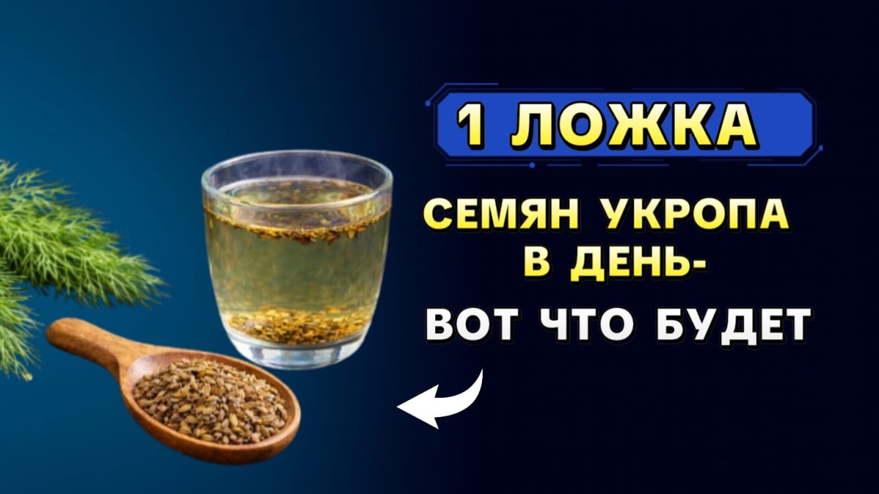 Что творит укропная вода? / Как 1 ложка семян укропа в день меняет здоровье