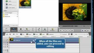 How to apply video effects to a video using AVS Video Editor? screenshot 2