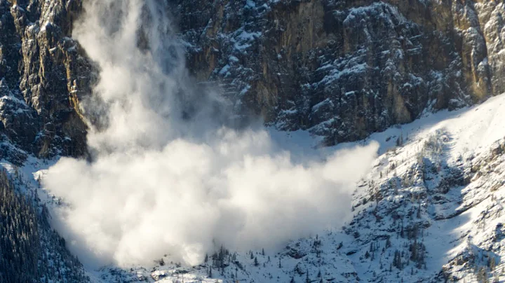 Avalanche Safety 101