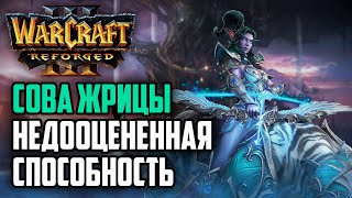 :     : Warcraft 3 Reforged Yange (Orc) vs dhaimoon (Ne)