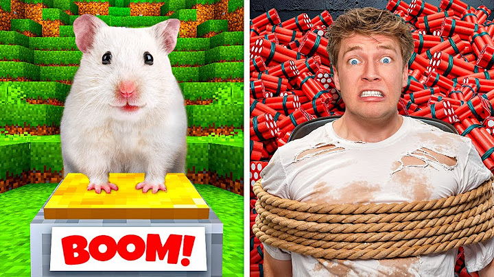I Built Minecraft For A Real Hamster! 🐹