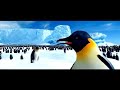 Boogie Wonderland Brittany Murphy Happy Feet Boogie Wonderland Brittany Murphy Happy Feet