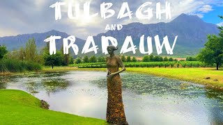 Wines Of South Africa  Ep 5   Tulbagh And Tradauw Valley  Saronsberg Wine  Joubert Tradauw Wine