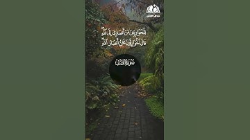 تلاوة خاشعة تهز القلوب للشيخ عبد الباسط عبد الصمد | بخشوع يبكي القلوب #القرآن_الكريم #تلاوة_خاشعة