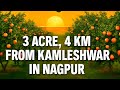 3 Acre Fully Grown Orange Farm for Sale | 300 Trees | 4 km from Kamleshwar | Raya Properties Nagpur