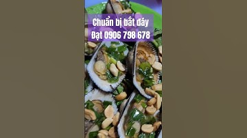 Chuẩn bị bắt đáy Đạt ITP  0906 798 678