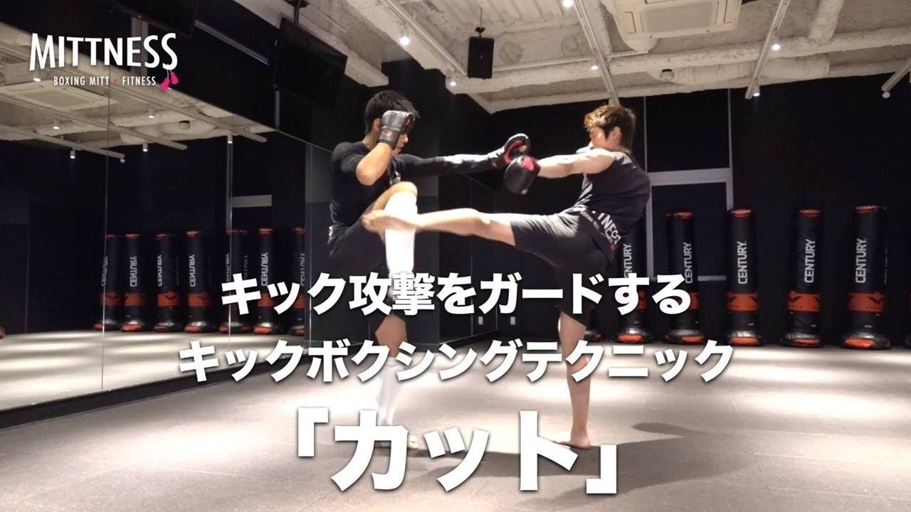 キックボクシングで重要な【カット】を説明します-MITTNESS/ミットネス