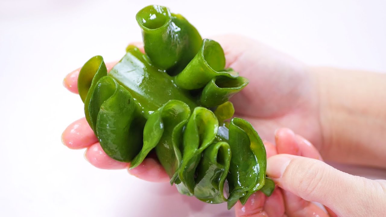 【コリコリ瀬戸内ASMR】まるでカーテンレース🌳生めかぶ  Super Crunchy Eating Sounds No Talking【咀嚼音】