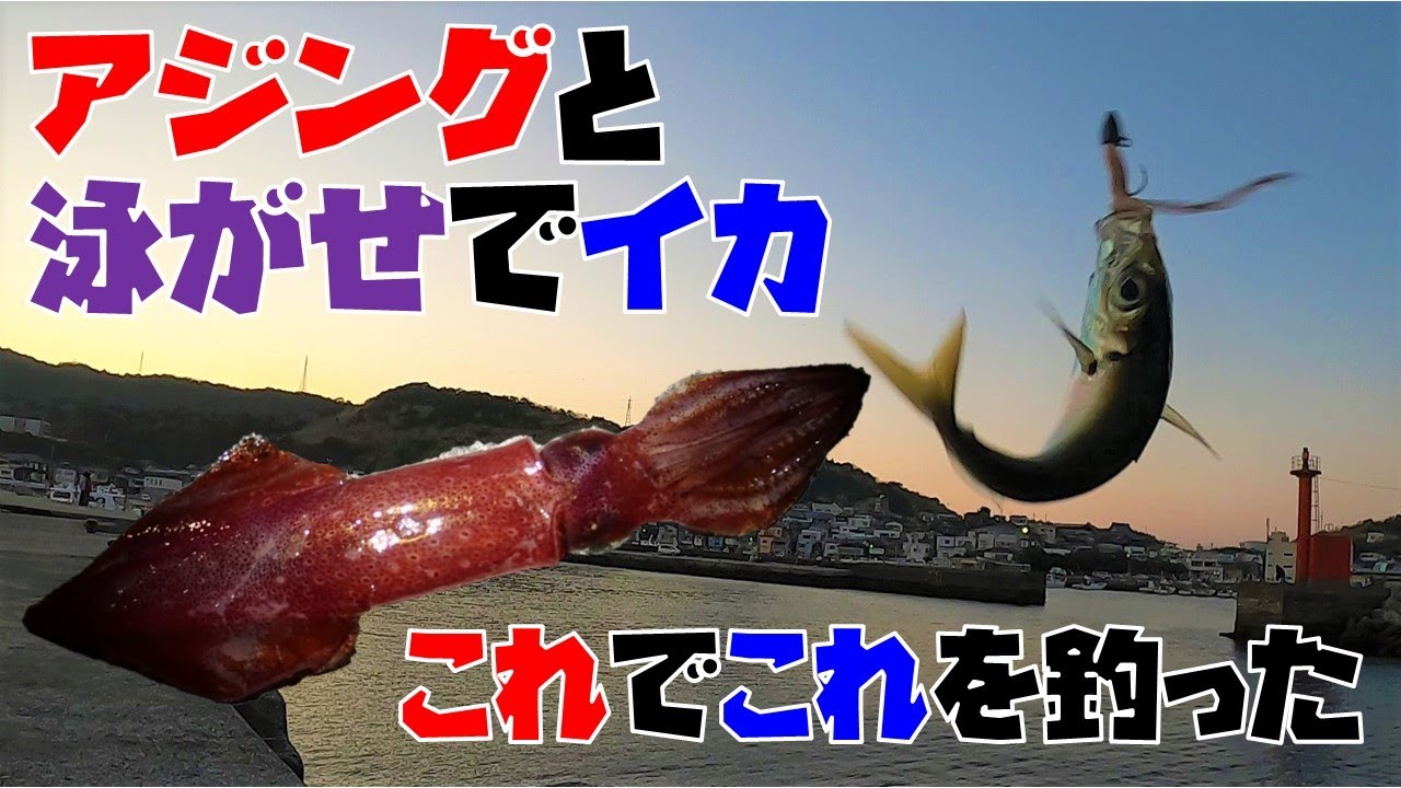 アジングしながらアジで泳がせ釣りしてイカget 大分 釣り動画