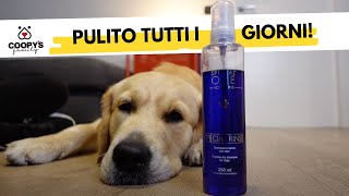 I 5 prodotti che usiamo per la pulizia giornaliera del nostro cane | Tutorial