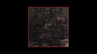 AMN15-05 - Whylie