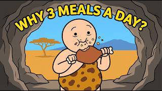 Why Do Humans Eat 3 Meals a Day?