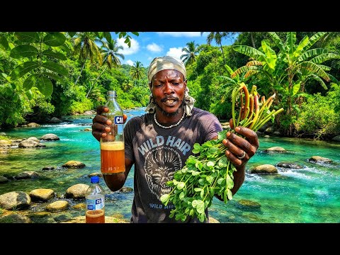 POWERFUL PUSSEL PLANT GOOD FOR THE BODY AN SOME POWERFUL HERBAL JUICE 