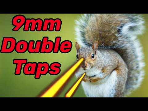 Squirrel Pest Control with a 9mm? (Part 1)