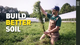 How I Use Cover Crops In The Market Garden