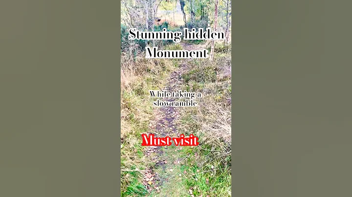 Mysterious woodland silence reveals - A stunning discovery #epic #weird #ancient #trees #scotland