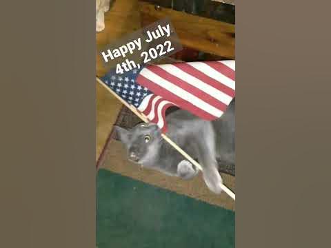 beverly hillbillies july 4