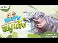 🔴 Live! Moo Deng | 8-6-2026 , 00:00 | Zoo TV สวนสัตว์เปิดเขาเขียว