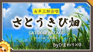 さとうきび畑作詞作曲：寺島尚彦