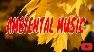 Tema Ambientala Instrumentala