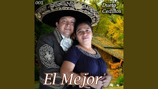 Video thumbnail of "José Cedillos - El Valor de Una Mujer"