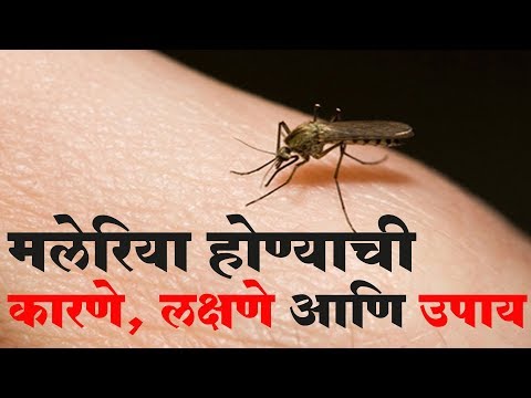 मलेरिया होण्याची कारणे, लक्षणे आणि उपाय l Garja Hindustan