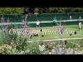 Jannik Sinner's Unforgettable Day at Wimbledon πΎ