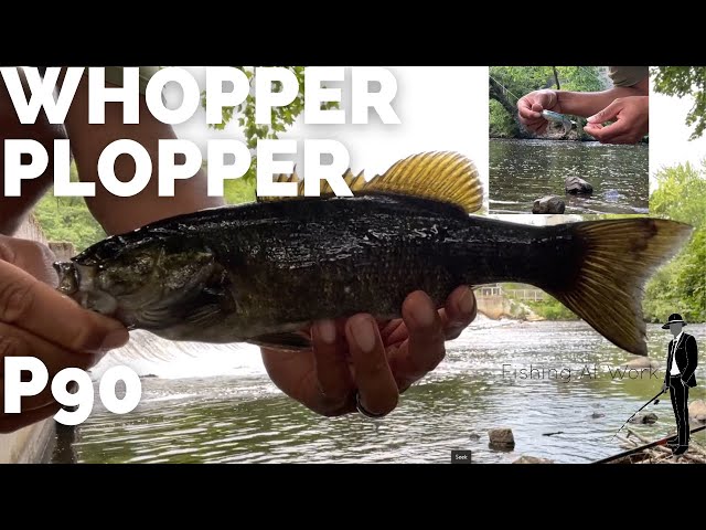 Charles River Fishing - Smallmouth Bass Fishing - Whopper Plopper P90 