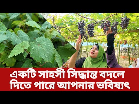 একটি সাহসী সিদ্ধান্ত বদলে দিতে পারে আপনার ভবিষ্যৎ | আঙুর চারা