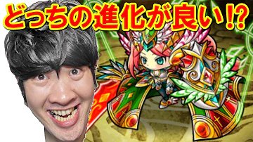 ポコダン ミカエル どっち ポコダン ミカエル どっち