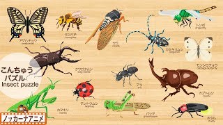 昆虫パズルで遊ぼう！知育【赤ちゃん・子供向けアニメ】Insect puzzle for kids