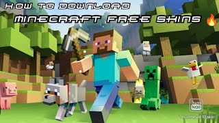 How To Download Minecraft Free Skins/Bad Thunder screenshot 5