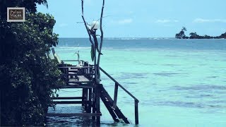 Pulau Macan - Paradise On Jakartas Doorstep