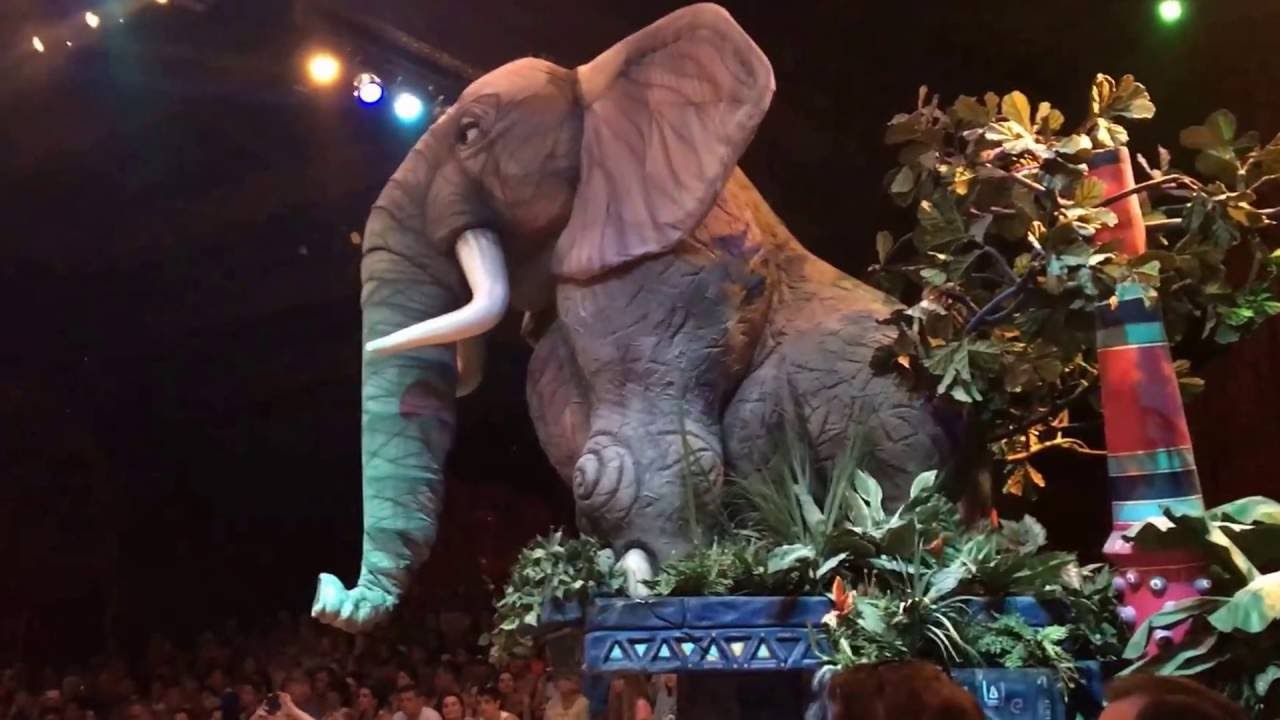 Festival of the Lion King Disney Animal Kingdom YouTube