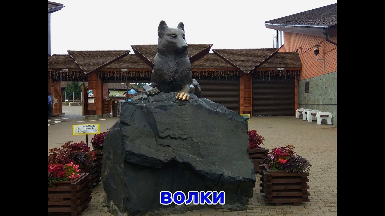 Любовь И Голуби Новый Клип. Супер! Ваш Любимый Видеоклип! - Youtube