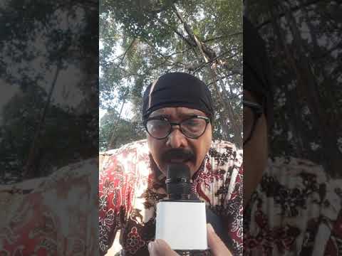 sex java