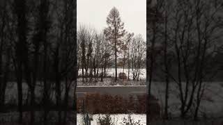 Let it snow | First snow in Germany - Munich
