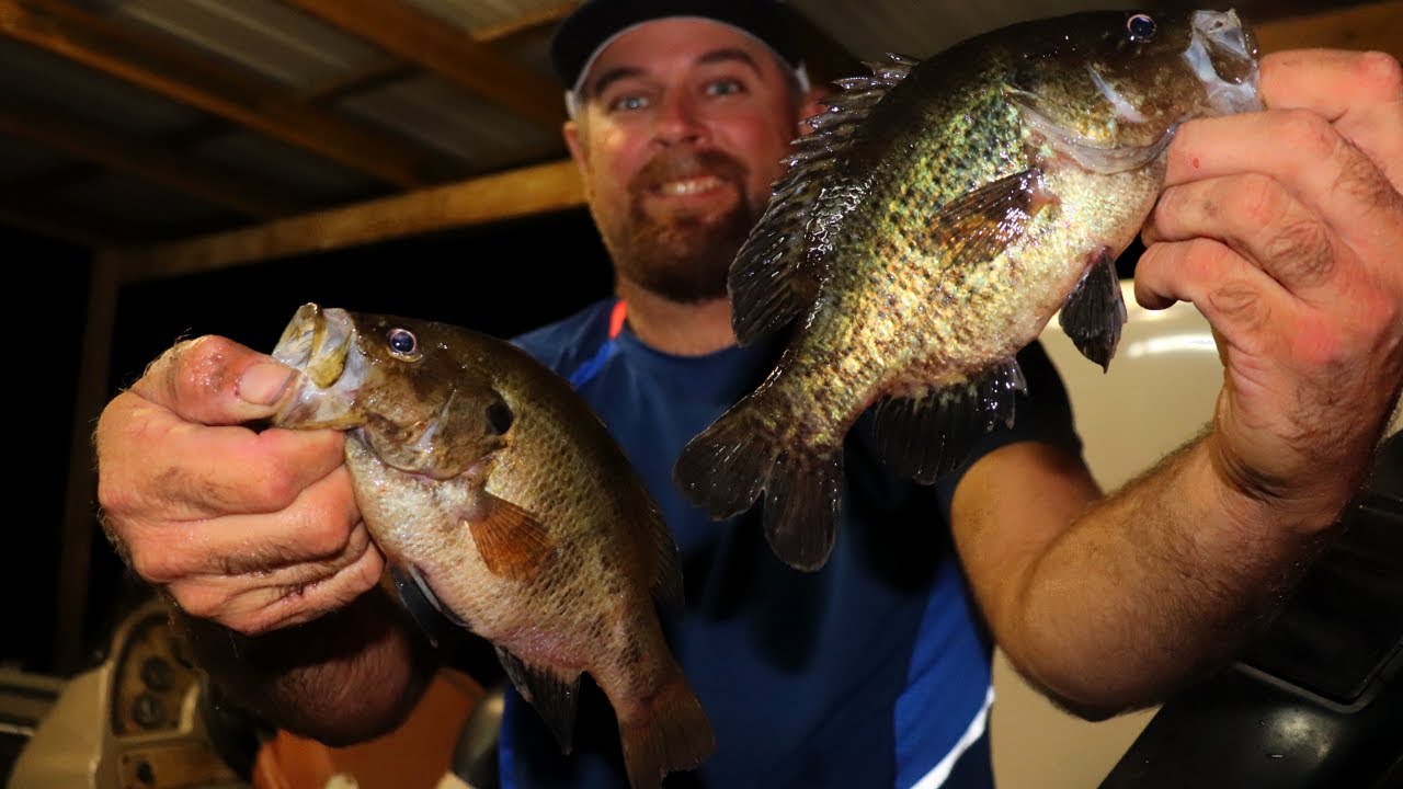 How to fish for Warmouth - Top Secret Lure - YouTube