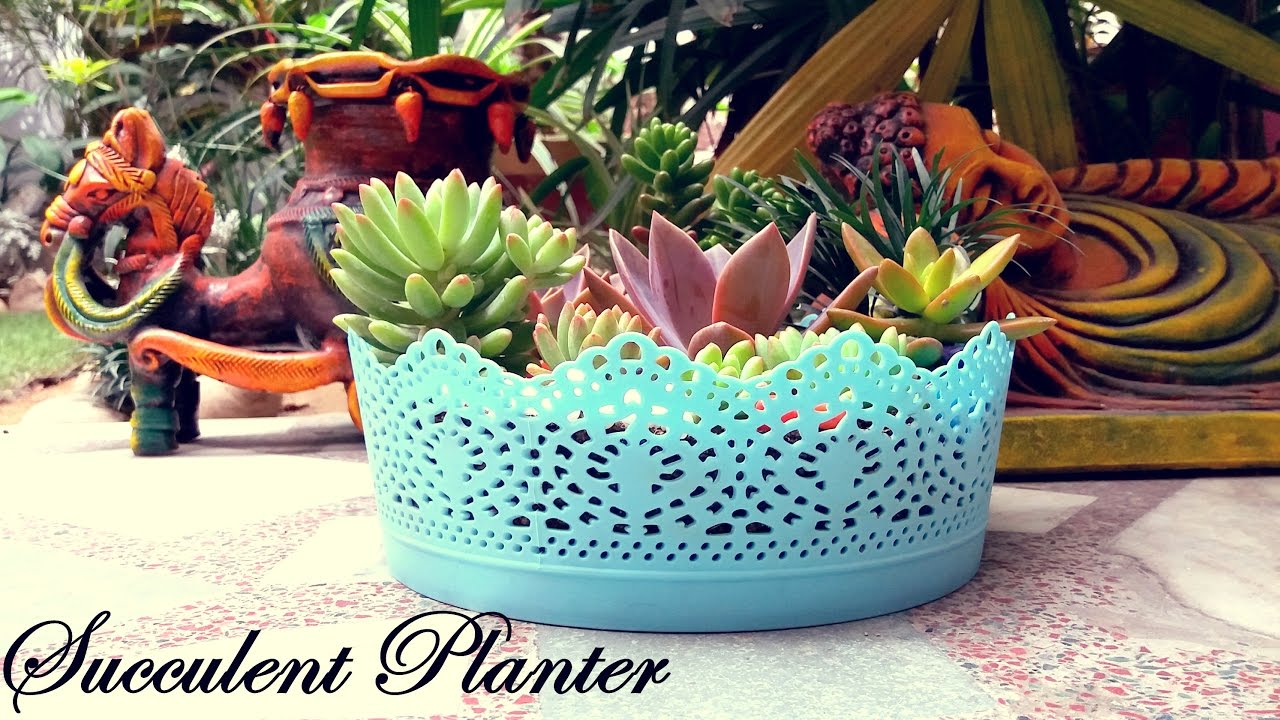 Make a Beautiful Succulent Planter in 5 Minutes