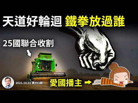 鐵拳好輪迴！愛國生意大翻車；燃煤之急！25國收割北京，最簡單的出路卻是最難的（文昭談古論今20211001第993期）